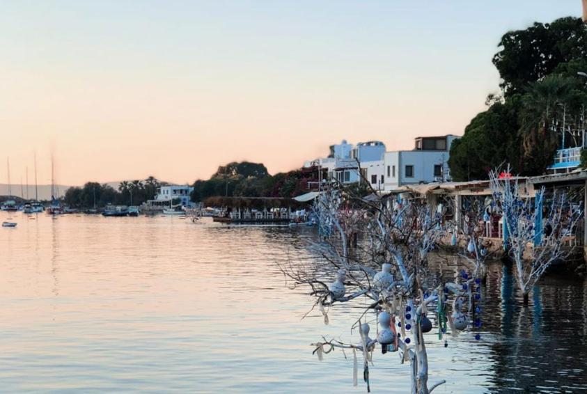 Azure Wellness Retreat (Adults Only) Turgutreis Exterior foto
